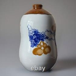 11.5 Old Chinese Blue White With Fruit Grasshopper Porcelain Bottle Vase Signed