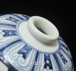 29CM Xuande Old Signed Antique Chinese Blue & White Porcelain Vase with fish