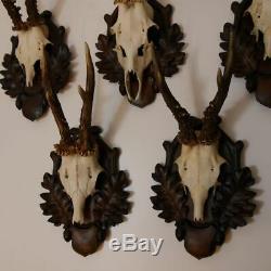 5 Piece Original Old Antique Deer Antlers On Pressed Signs Decoration