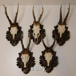 5 Piece Original Old Antique Deer Antlers On Pressed Signs Decoration