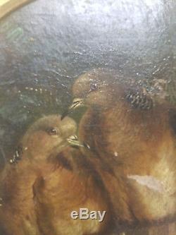Antique 19th Century Old Master Oil Painting Canvas Doves Birds Signed Illegibly