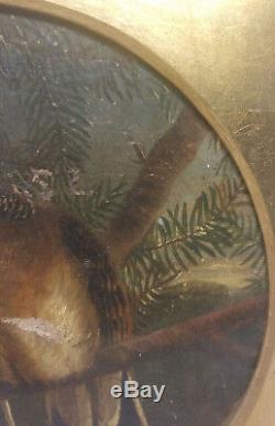 Antique 19th Century Old Master Oil Painting Canvas Doves Birds Signed Illegibly