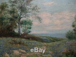 Antique Blue Bonnet Landscape Painting Edwin Signed 19th 20th Century Oil Old