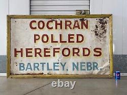 Antique Old 40s Americana Folk Art POLLED HEREFORDS Cattle Ranch Painted Sign