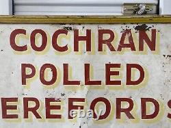 Antique Old 40s Americana Folk Art POLLED HEREFORDS Cattle Ranch Painted Sign