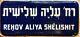 Antique Old Blue Cobalt Street Sign Israel Haalia Hashlishit Hebrew English