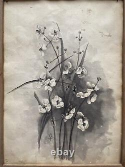 Antique Old Floral Flower Still Life Ink Wash Watercolor Painting Signed MVT