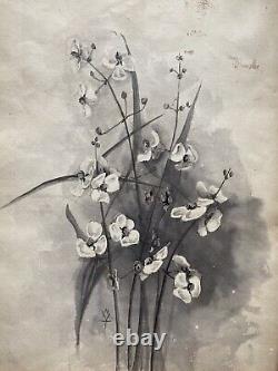 Antique Old Floral Flower Still Life Ink Wash Watercolor Painting Signed MVT