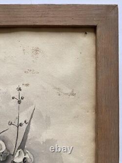 Antique Old Floral Flower Still Life Ink Wash Watercolor Painting Signed MVT