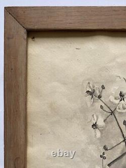 Antique Old Floral Flower Still Life Ink Wash Watercolor Painting Signed MVT