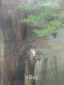 Antique Old Oil Painting Forest Trees Rural Landscape Art on Canvas Original