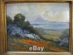 Antique Painting Early Old California Wild Flower Landscape Sea Coastal Poppies