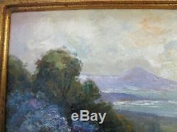 Antique Painting Early Old California Wild Flower Landscape Sea Coastal Poppies