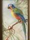 Fine Antique Old Bird Parrot Rainbow Lorikeet Portrait Painting, Signed 1930s