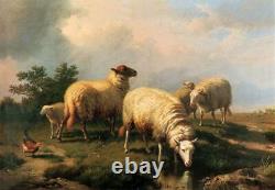 Hand painted Old Master-Art Antique Oil Painting animal sheep on canvas 30x40