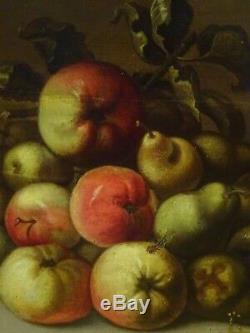 Large 17th Century Dutch Old Master Still Life Fruit Insects Mouse Butterflies
