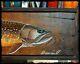 Native Trout Fish Art / Old Wood /signed By Artist Bryce Lund Art / Wild Trout