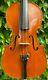 Old French Violin'' Chenantais & Le Lyonnais'' Hand-signed & Branded