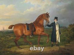 Old Master-Art Antique Oil Painting Portrait aga horse on canvas 30x40
