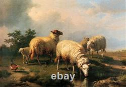 Old Master-Art Antique Oil Painting Portrait animal sheep on canvas 30x40