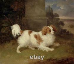 Old Master-Art Antique Oil Painting animal Portrait dog on canvas 30x30