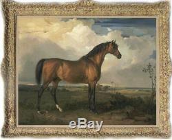 Old Master-Art Antique Oil Painting animal Portrait horse on canvas 30x40