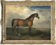 Old Master-art Antique Oil Painting Animal Portrait Horse On Canvas 30x40