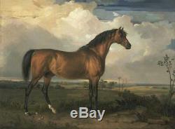 Old Master-Art Antique Oil Painting animal Portrait horse on canvas 30x40