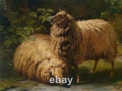 Old Master-Art Antique Oil Painting animal Portrait sheep on canvas 30x40