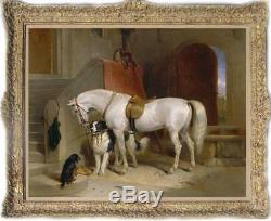 Old Master-Art Antique animal Oil painting Portrait horse dog on Canvas 30X40