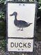 Old Vintage Road Warning Sign Ducks