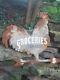 Vintage Old Grocery Feed Dry Goods Metal Sign General Store Barn Farm Tractor